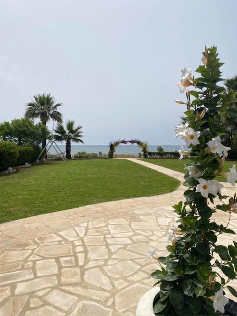 Ionion Beachfront Villa Ajía Nápa Eksteriør bilde